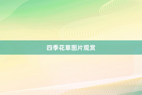 四季花草图片观赏